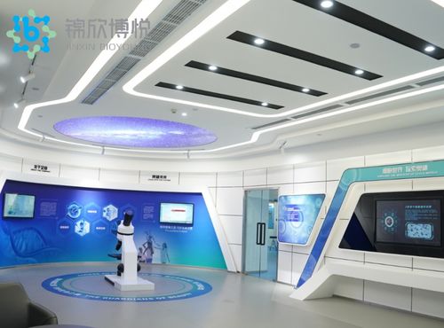 成功入库国家项目，成都锦欣博悦加速技术创新与软件开发布局